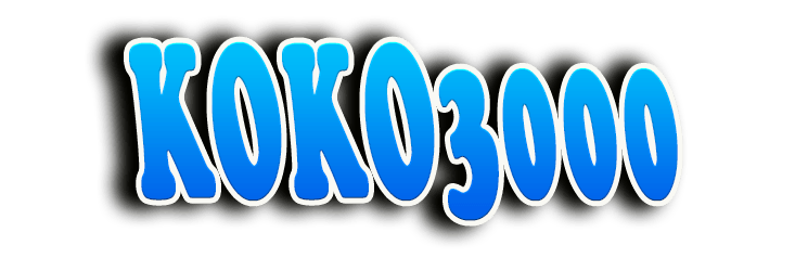 KOKO3000